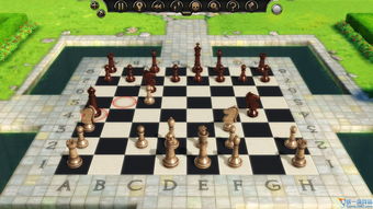 象棋对战红火游戏攻略(象棋 对战)(2024-05-28)