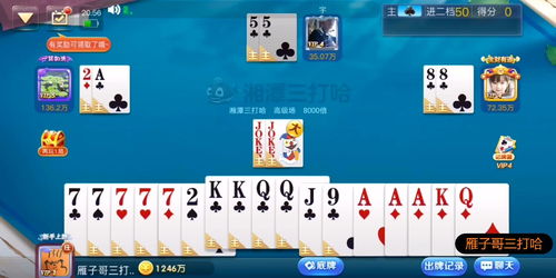 扑克纸牌游戏攻略(纸牌扑克牌游戏)(2024-05-30)