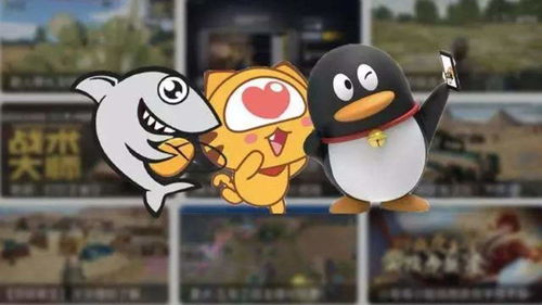 企鹅互助游戏攻略视频(企鹅互助app)(2024-05-30)