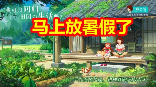 游戏乡村生活暑假攻略(乡村暑假生活rpg)(2024-05-30)