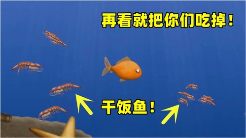 小鱼变大鱼游戏攻略，如何从小鱼成长为巨型大鱼