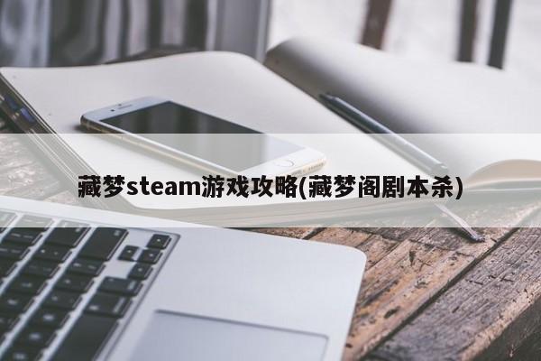 藏梦steam游戏攻略(藏梦阁剧本杀)(2024-05-27)