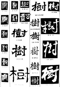 庆余年第二季中书法字体名字_庆余年字体设计