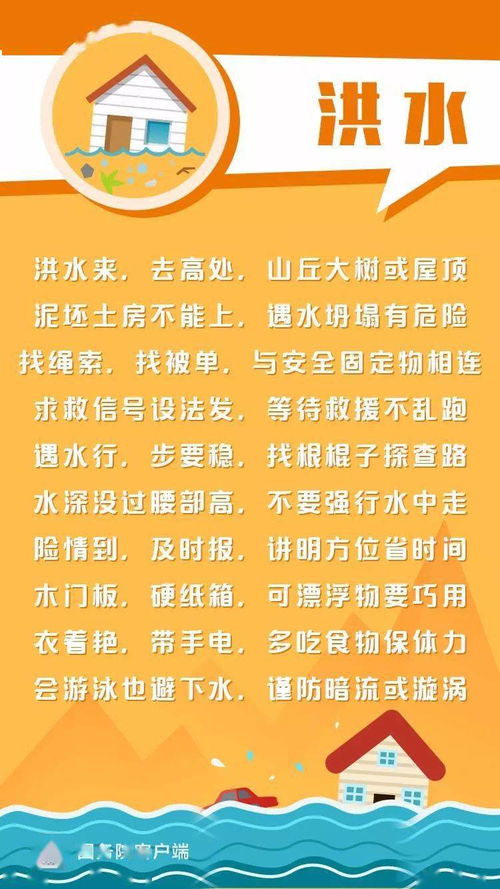 念念无明全国语中字短剧全集资讯