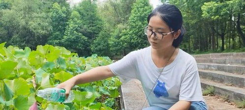 在北大学考古的湖南留守女孩毕业 北大毕业之路，湖南留守女孩的考古之旅