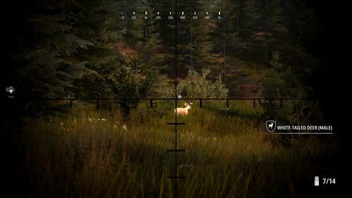 模拟狩猎2游戏攻略(模拟狩猎2站点分布)，模拟狩猎2站点分布攻略，狩猎之旅中的宝藏与挑战