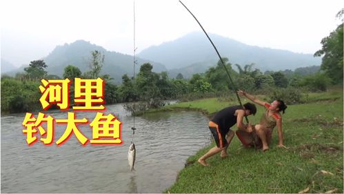 乡村生活钓鱼攻略，轻松掌握钓鱼技巧，享受乡村生活乐趣