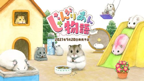 日本养仓鼠游戏攻略，新手养仓鼠的必备指南