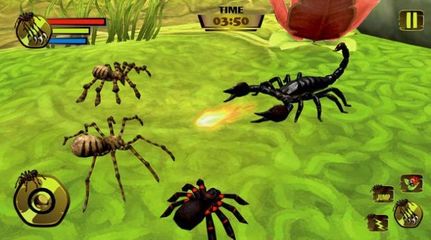 火山蜘蛛蚂蚁游戏攻略(火山蚂蚁长什么样)