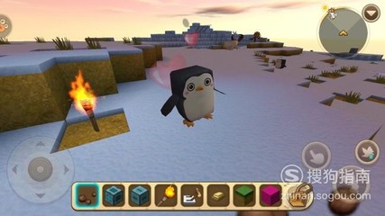 宠物企鹅游戏攻略视频(企鹅宠物怎么没有了)