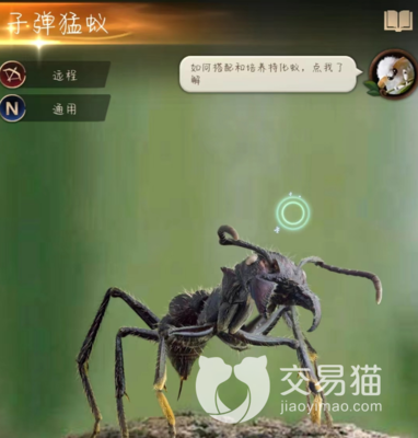 养蚂蚁的游戏攻略(养蚂蚁的游戏攻略视频)