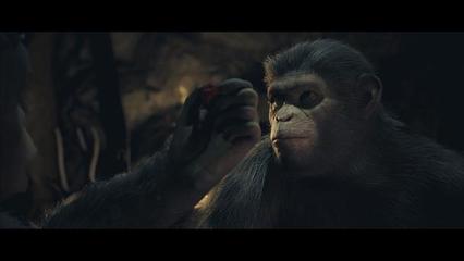 猿猴战争游戏攻略视频(猿猴大战人类)