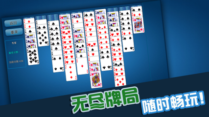 纸牌游戏下载攻略中文(纸牌游戏手机版)